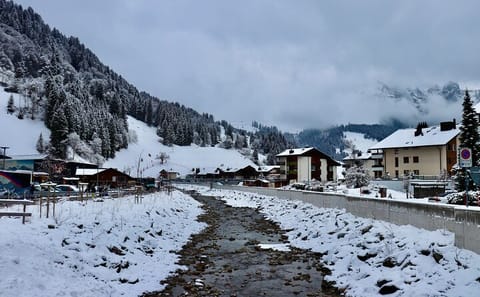 Mt Titlis and Lucerne Day Trip with Guided Tour