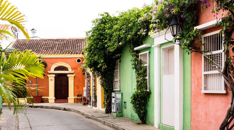 Gethsemane with Dinner or Fruit Tasting, Cacao, Rum or Ceviche