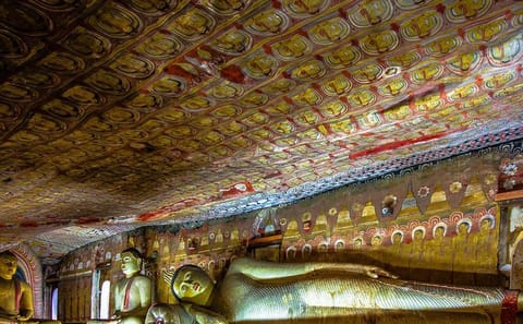 Sigiriya Rock and Dambulla Temple Day Tour from Trincomalee