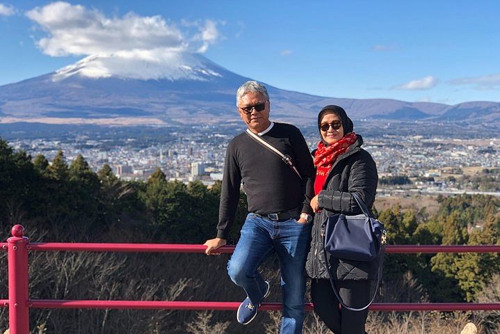 Private Sightseeing full day to Mt Fuji and Hakone