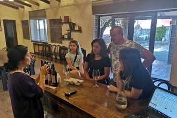 Private Full Day Kakheti Wine Tour from Tbilisi