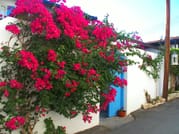 Paphos: Gourmet Cyprus Tour – Local Flavors & Wine 10