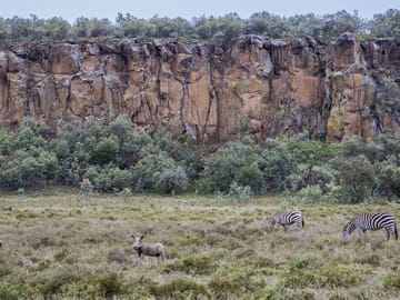 Day tour to lake Naivasha and hell’s gate park no park fees