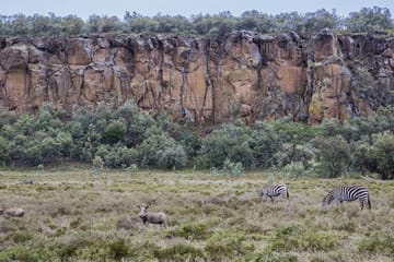 Day tour to lake Naivasha and hell’s gate park no park fees