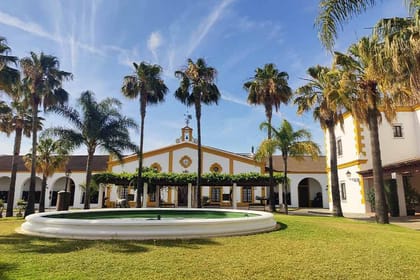 Jerez winery private visit