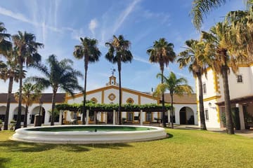 Private Winery Tour in Jerez de la Frontera, Spain