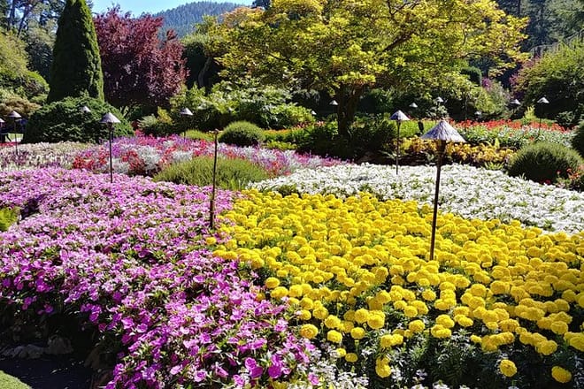 Victoria & Butchart Gardens Private Tour