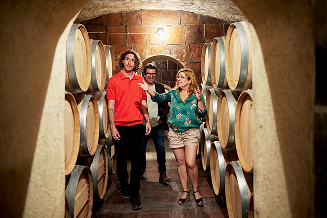 Uncork the Secrets of Sherry Wine: A private guided tour in El Puerto de Santa María with tastings and lunch inlcuded