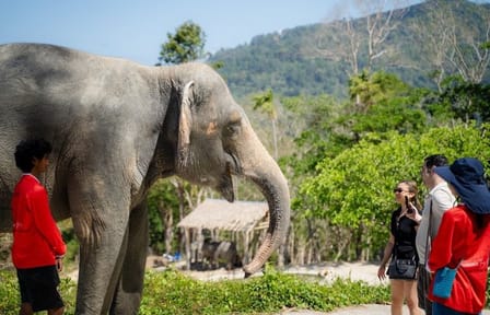 Guide Tour to Patong Hilltribe Ethical Elephant Village
