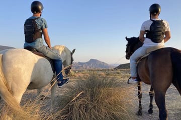 Arabian Horseback Desert and Sea