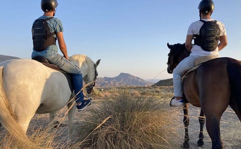 Horseback Riding Adventure in Hurghada's Desert and Sea