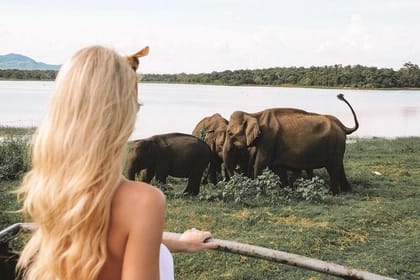 Tropical Ceylon | 8 Days