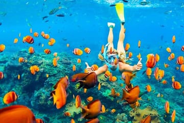 Ras Mohamed and White Island Snorkeling Tour from Sharm El Sheikh