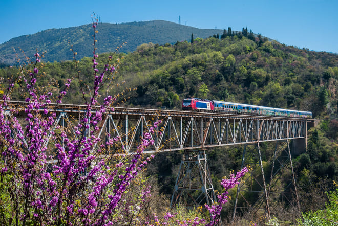 Meteora Day Trip from Athens by Train 8