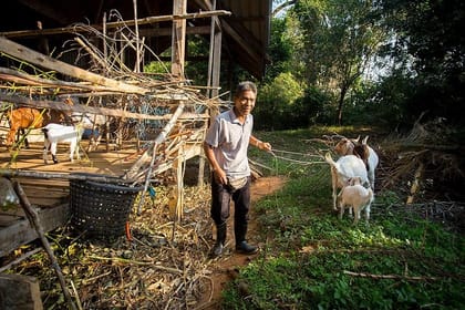 Koh Yao Native Touch & Local Tours