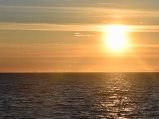 Reykjavík Classic Whales in the Midnight Sun, photo 25