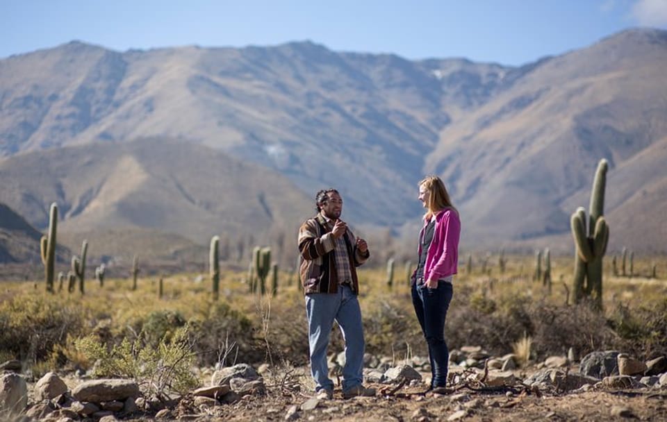 Half-Day Scenic Tour of Tafi del Valle from Tucumán