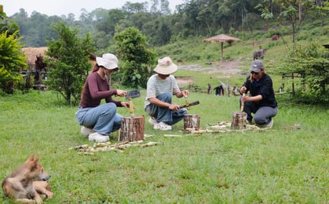 Elephant Sanctuary Half-Day Experience with Lunch in Chiang Mai