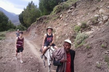 Day Trip to Tiya UNESCO Site & Melka Kunture Archaeological Site