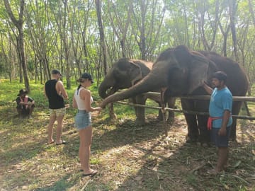 2-Hours Eco Guide Walking Tour in Khao Lak Elephant Sanctuary