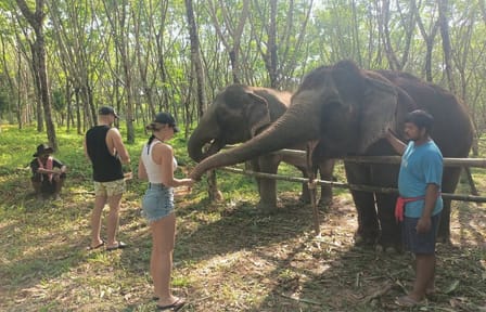 2-Hours Eco Guide Walking Tour in Khao Lak Elephant Sanctuary