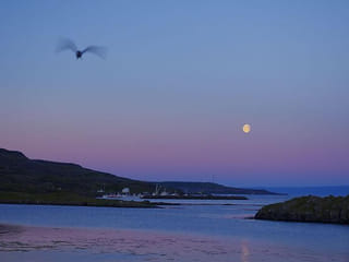 Strandir Adventure by Minibus, photo 11