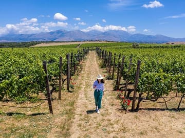 Heraklion Wine and Olive Oil Tasting Tour with Lunch