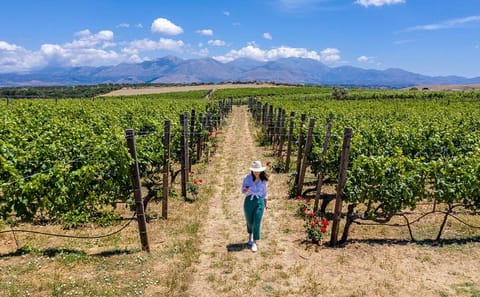 Heraklion Wine and Olive Oil Tasting Tour with Lunch