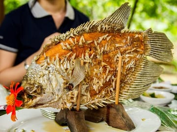 Mekong Delta Food and Culture Tour from Ho Chi Minh City
