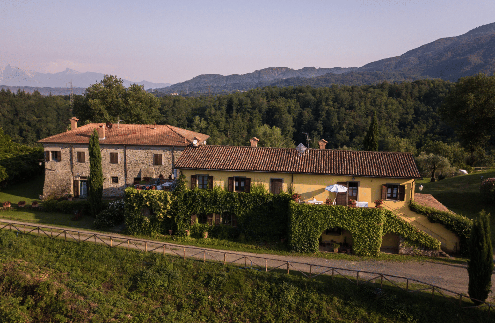 Boutique Winery Tour & Tasting in North Tuscany