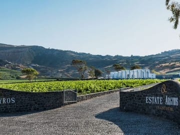 Santorini Private Wine Exprerience : 3 Wineries & Local Snacks