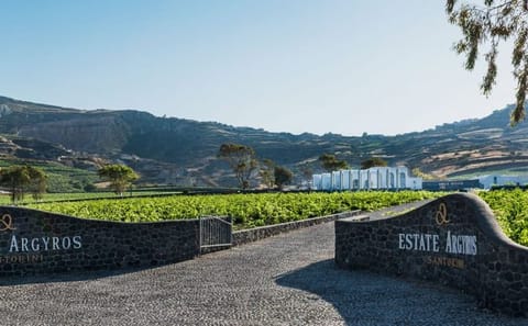 Santorini Private Wine Tour: Visit 3 Wineries with Local Snacks