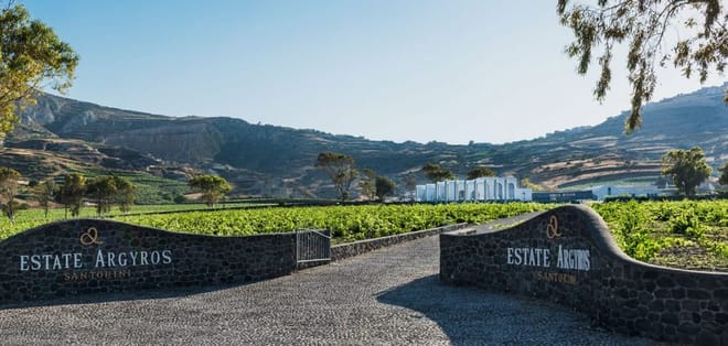 Santorini Private Wine Exprerience : 3 Wineries & Local Snacks 2