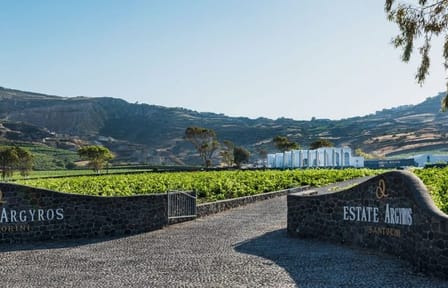 Santorini Private Wine Tour: Visit 3 Wineries with Local Snacks