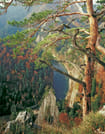 Dunajec River Gorge (River Rafting) from Krakow 8