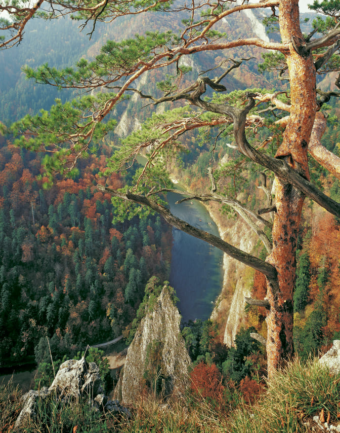 Dunajec River Gorge (River Rafting) from Krakow 8
