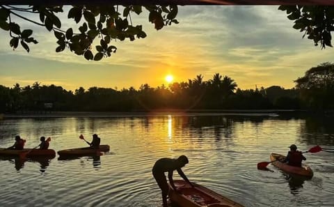 Kayak Rentals for Self-Guided Exploration in Negombo Lagoon