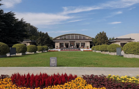 Terracotta Army Museum Half-Day Tour in Xi'an