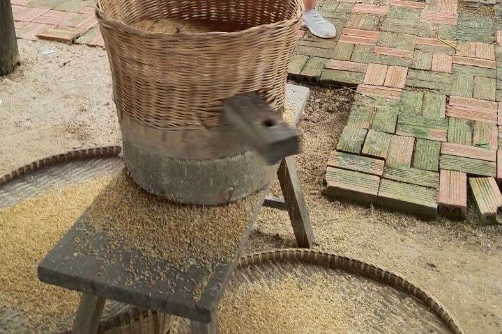 Half-day Tour to Khmer Village Plus Meal