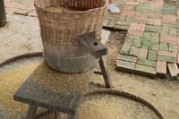 Village tour
