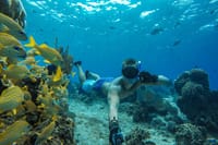 Cozumel El Cielo Sandbar and Reef Snorkeling Private Adventure  7