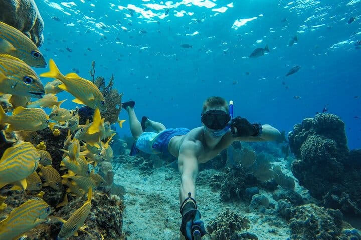 Cozumel El Cielo Sandbar and Reef Snorkeling Private Adventure 7