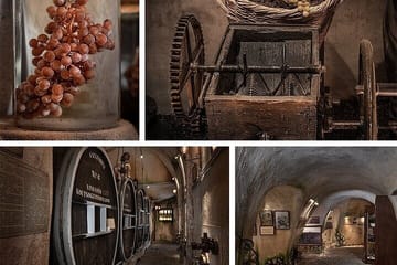 Santorini Wine Tasting and Vineyard Tour with Local Guide