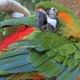 Bird Park