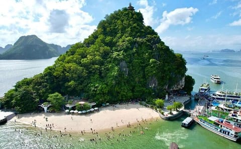 Hanoi to Ninh Binh and Ha Long Bay 2-Day Cultural Tour