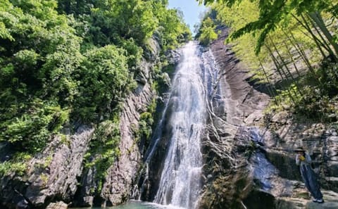 Hiking Tour to Baishuichong Waterfall and Yang E Trail from Shanghai