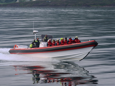 Express Whale Watching From Dalvík, photo 2