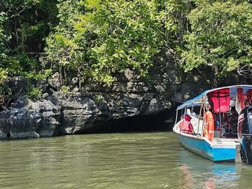 Langkawi Mangrove & Bat Cave Expedition: Sharing Boat With Option