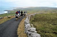 Horse riding in the Burren. Clare. Guided. 3 hours 3