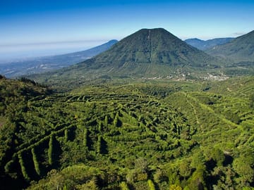 The Flower´s Route El Salvador - Coffee Plantations sightseeing